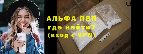 гашиш Богданович