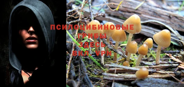гашиш Богданович