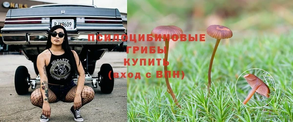 2c-b Богородицк
