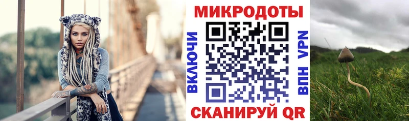 Псилоцибиновые грибы MAGIC MUSHROOMS Купить закладки Новый Оскол